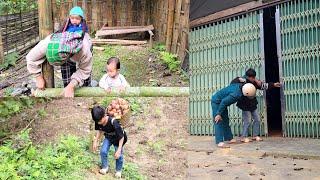 The boy went to pick fruit to sell and the pig gave birth and the mother made a place for them.