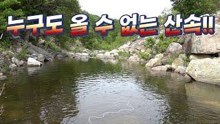 몇십년간 어로행위를 하지 않은곳 말지렁이 수제통발을 넣어보자 !! / freshwater fish caught deep in the mountains.