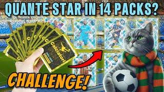 CHALLENGE! - QUANTE STAR TROVO IN 14 BUSTINE DEI CALCIATORI 2024-25? - CALCIATORI PANINI 2024-25