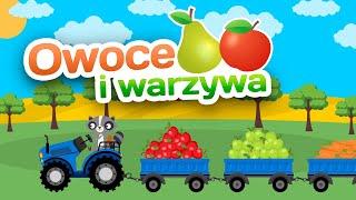 Owoce i Warzywa: Co jedzą zwierzątka, kolory i liczenie | Bajki dla Dzieci