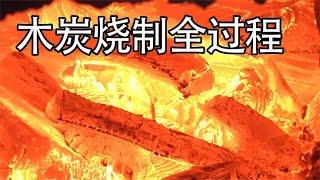 木材为什么要烧制成木炭？直接使用不行吗？看完你就懂了！