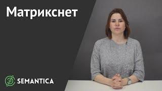 Матрикснет: что это такое и зачем он нужен | SEMANTICA