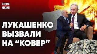 УСАТЫЙ ПРОВИНИЛСЯ И ЕДЕТ «НА КОВЁР». Европа перевооружается. Тотальная слежка и "белочка"