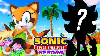 What's Next for Sonic Speed Simulator?