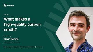 What is a high-quality carbon credit? - Abatable