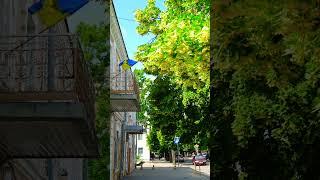 Рівне #ukraine #ukraina #ukraina #ucraina #ucrânia #ucrania #uk #rivne #travel #art #photo #music