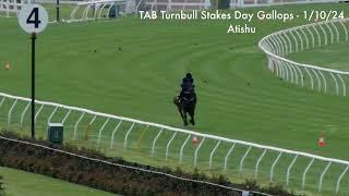 Turnbull Stakes Day Gallops Tue 1  October   Atishu