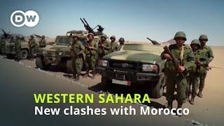 Renewed violence in disputed Western Sahara