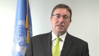 Achim Steiner: IRP REDD Green Economy