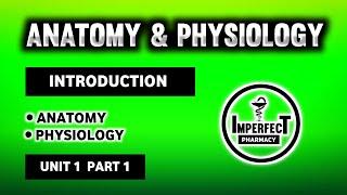 Human Anatomy And Physiology | HAP | Introduction To Human Body | B Pharma First Semester