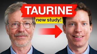 Why Scientists Think Taurine Can Slow Aging