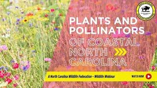 Plants and Pollinators of Coastal North Carolina - North Carolina Wildlife Federation