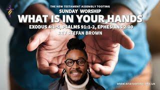 “What is in your hands?”  | Rev Stefan Brown | 8th September  2024 #ntatooting