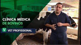 Clínica Médica de Bovinos l VET Profissional