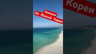 Улетели из Южной Кореи