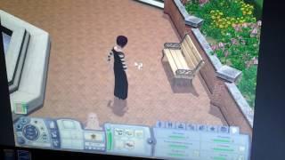 Sims3 #3