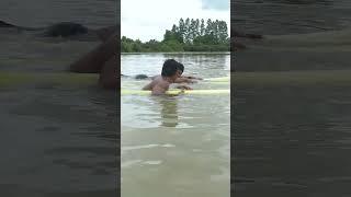 Jungle builder, swimming pool
