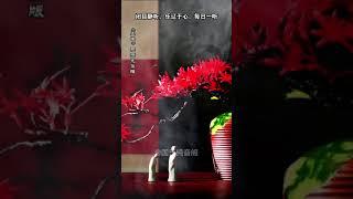 百聽不厭的墨緣完整版又來了！ 墨香深處藏心語，人間萬象皆成詩。 一曲聽完，神清氣朗。# 墨緣完整版#國樂#古琴#禪樂靜心#元宵快樂