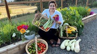 First Massive Summer Harvest After a Week of Neglect!