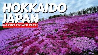 HOKKAIDO is a FLORAL PARADISE!