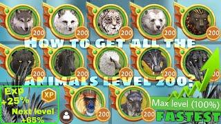 WildCraft - How to get all the Animals level 200 Quickly ?