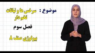 بیولوژی صنف ۸ | فصل سوم | درس ۱۶ | سرخس ها و نباتات تخم دار