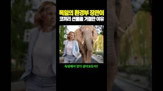 독일의 환경부 장관이 '코끼리 선물'을 거절한 이유...ㄷㄷ