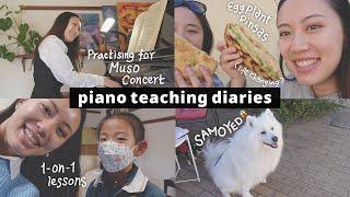 Piano teaching diaries | getting ready for muso concert 2 | weekend dog dates | May 2022