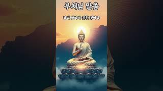 내가 너무 부족하게 느껴질 때#부처님말씀 #부처님명언 #불교명언