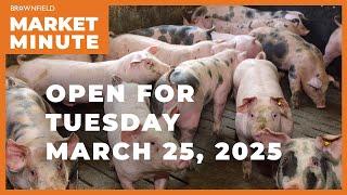 Hogs are up Tuesday morning | Opening Market Minute