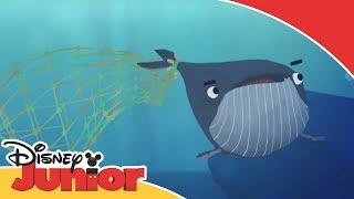 Hope Works - Historia de una ballena  | Disney Junior Oficial