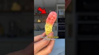 Gummy Worm vs Freeze Dried Gummy Worm