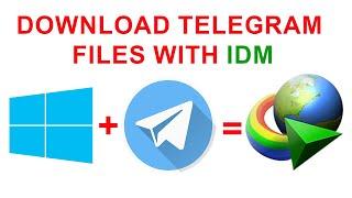 How to Download Telegram Files with High Speed Using IDM in Windows 11 or Windows 10