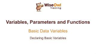 Excel VBA Online Course - 4.1.1 Declaring Basic Variables