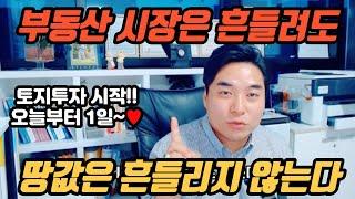 토지투자 쉽게 시작하기 | 부동산시장은 흔들려도 땅값은 흔들리지 않는다! #토지투자 #땅투자