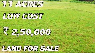 11 ACRES LAND FOR SALE | LOW-COST PROPERTY FOR SALE | COST PER ACRE IS ₹2,50,000 | PROPERTY TV LANDS