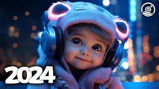 Music Mix 2024  EDM Mixes of Popular Songs  EDM Bass Boosted Music Mix #252