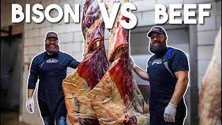 BISON vs BEEF: The Ultimate Comparison | The Bearded Butchers