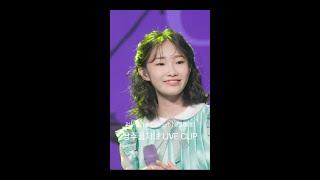 [정서주]  낭주골 처녀 Live Clip #shorts #리틀이미자 #이미자