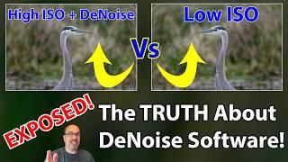 Low ISO VS. High ISO + Denoise:  WARNING: You NEED To See This Before Your Next Shoot!