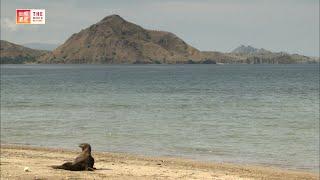 Komodo National Park (Indonesia) / TBS