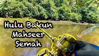 Trip Casting MAHSEER Ikan Semah || Hulu DAM BAKUN 