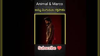 హిట్ 3 మూవీ మొత్తం రక్తపాతం అంట #hit3 #nani #hit3trailer #vilens #1million #trendingnow