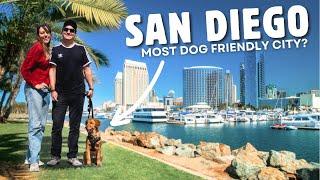 A PERFECT WEEKEND IN SAN DIEGO - Things To Do, See, & Eat (Dog friendly!)