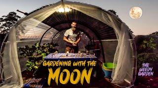 Moon Planting And Gardening Guide | Moon Planting: Unlocking the Full Potential of Your Seeds