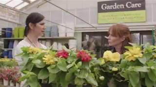 Hicks Nurseries Fall TV Commercial