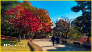 Seoul Olympic Park | Dolby Vision HDR | A good course to walk  Walking Photographer