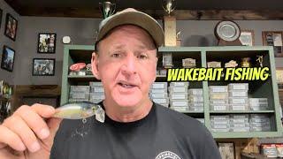 Fall Wakebait Fishing Techniques And Strategies