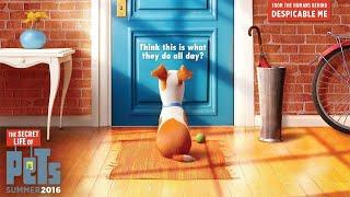 Animal World presents The Secret Life of Pets 2 Full Movie