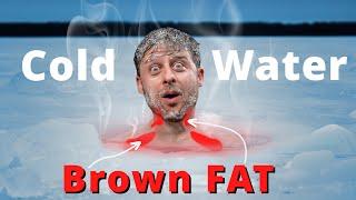 The Benefits of Cold-Water Immersion (Brown Fat & Weight Loss)